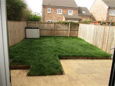 Picture 15